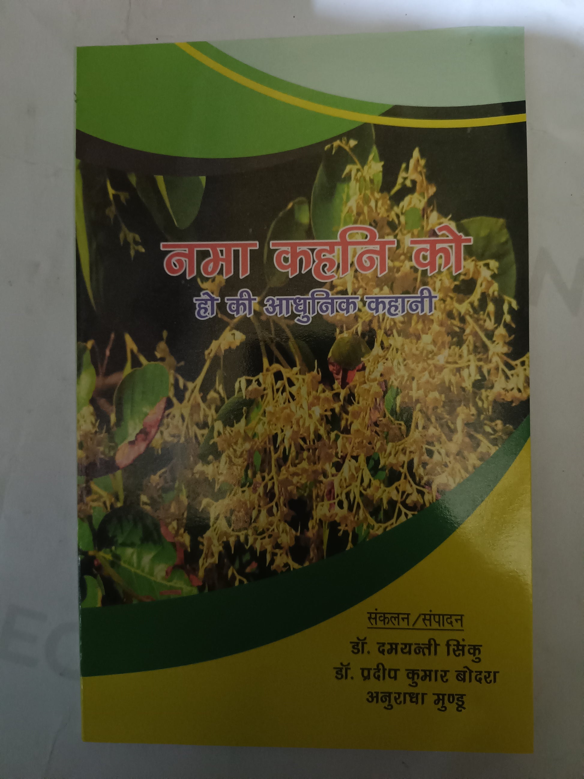 Nama Kahani Ko – Ho ki Adhunik Kahani